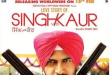 Top 10 Best Punjabi Movies 2013