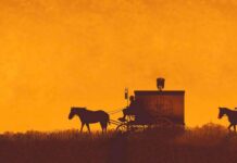 Star Wars Ut enim ad minim veniam, quis nostrud exercit