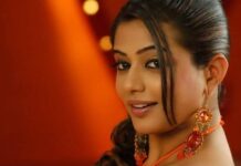 A Complete List of Priyamani Hindi Dubbed Movies priyamani hindi dubbed movies