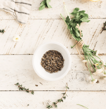Medicinal Plants: Adding Medicinal Herbs To Your Garden