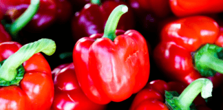 Planting Pepper: Growing Garden Pepper Plants