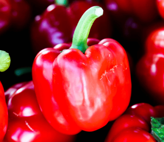 Planting Pepper: Growing Garden Pepper Plants