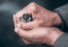 Better Understand Permanent Life Insurance