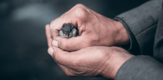 Better Understand Permanent Life Insurance