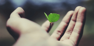 Debunking Life Insurance Myths