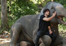 Free Watch Online Junglee 2019- Bollywood Movie-HD watch online junglee 2019