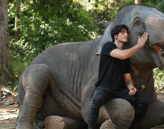 Free Watch Online Junglee 2019- Bollywood Movie-HD watch online junglee 2019