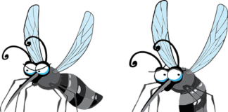 A Guide to Prepping for Summer Pests