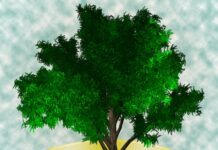 Tips for maintaining a healthy work-life balance