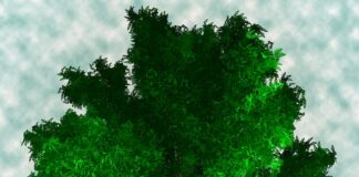 Tips for maintaining a healthy work-life balance