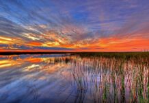 Visiting Englewood in Florida: A Guide