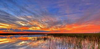 Visiting Englewood in Florida: A Guide