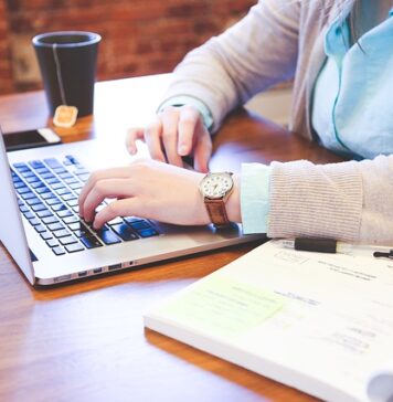 A Career-focused Education for Aspiring Sports Professionals