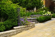 5 Cool Lawn Care Design Ideas For Your Home