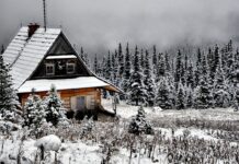 Save Money This Year By Winterizing Your House