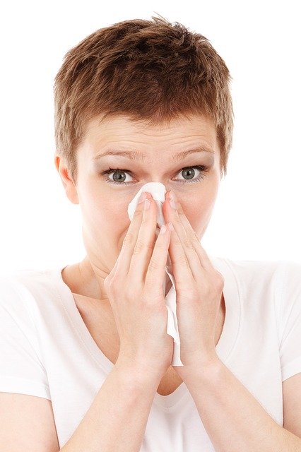 allergy, cold, disease allergy, cold, disease