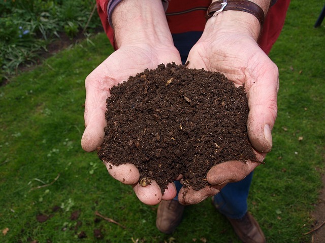 fresh, compost, hand fresh, compost, hand