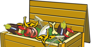 The Beginners’ Guide to Organic Composting