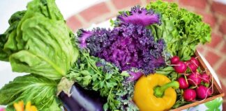 Gardening’s Unexpected Health Benefits Revealed