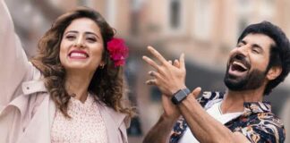 Top 14 Best Punjabi Comedy Movies of 2019 punjabi comedy movies