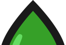 The Interesting Process of Making CBD Oil