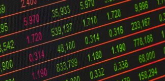 What You Need to Know Before You Start Trading