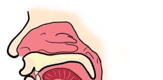 Health Tips on Chronic Sinusitis