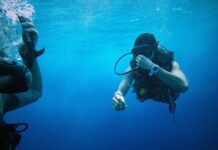 5 Key Qualities That You Want in a Dive Watch