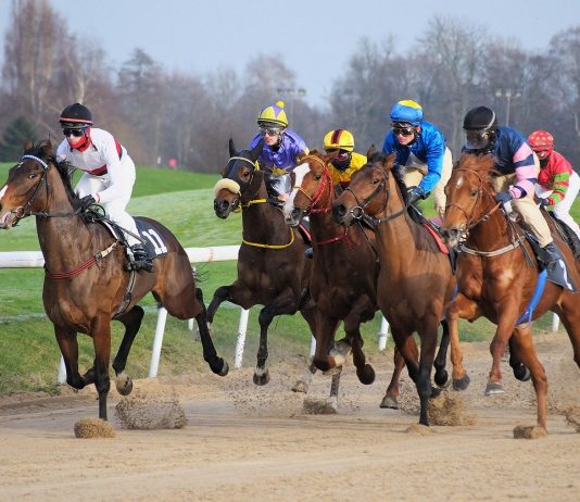 Using data to improve your sports betting returns A group of people riding on the back of a horse Description automatically generated