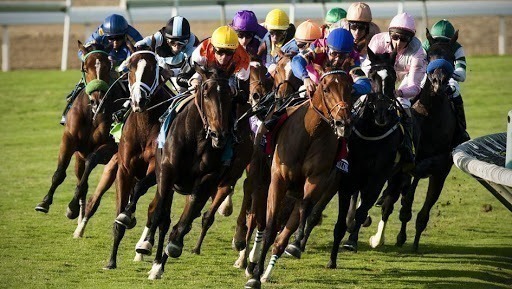 Horse Racing