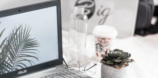 Content marketing and SEO trends in 2021: principles of website promotion