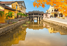 Easy Tips for Making Money in Vietnam for Expats