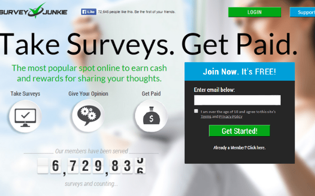 SurveyJunkie