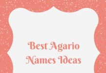 Agario Names: 500+ Best, Cool, & Funny Names Ideas