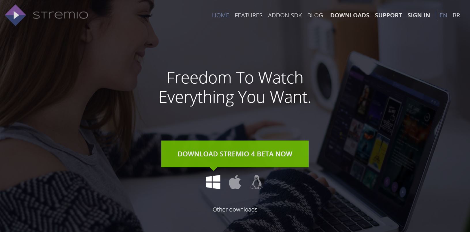Showbox Alternatives