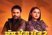 Top 40 Best Punjabi Comedy Movies punjabi comedy movies