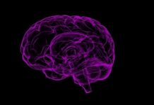 How To Improve Your Memory