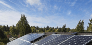 Should Factories Shift To Solar Energy