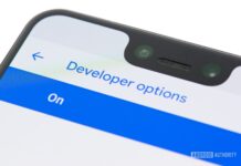 How to Enable or Disable Developer Mode on Android?