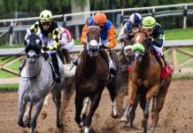 How To Enjoy Your Time At Your First Ever Horse Race