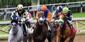 How To Enjoy Your Time At Your First Ever Horse Race