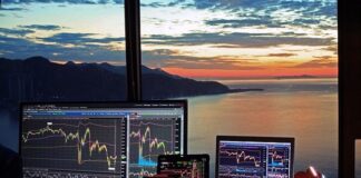 How To Mitigate the Common Risks in the Currency Market?