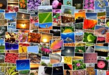 reaConverter – Equipped For Processing Batch Conversions of CR2 Images