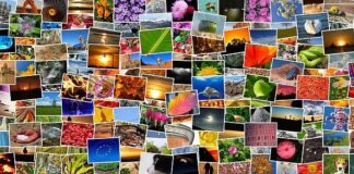 reaConverter – Equipped For Processing Batch Conversions of CR2 Images