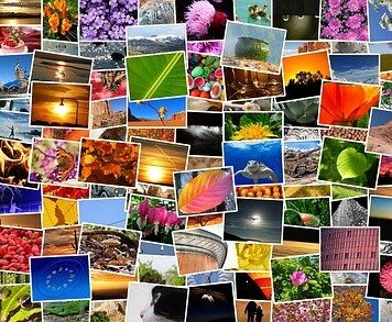 reaConverter – Equipped For Processing Batch Conversions of CR2 Images