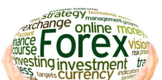 Things you can learn on a demo account before trading