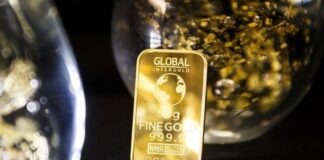 Should You Invest in a Gold IRA Company?