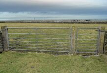 METAL OR WOOD – WHAT GATE SHOULD YOU CHOOSE?