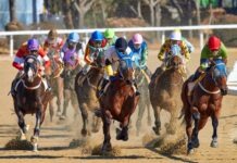 Top 9 Fun Facts About The Kentucky Derby equestrian riding horse at daytime
