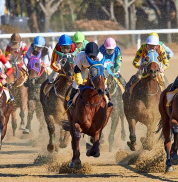 Top 9 Fun Facts About The Kentucky Derby equestrian riding horse at daytime